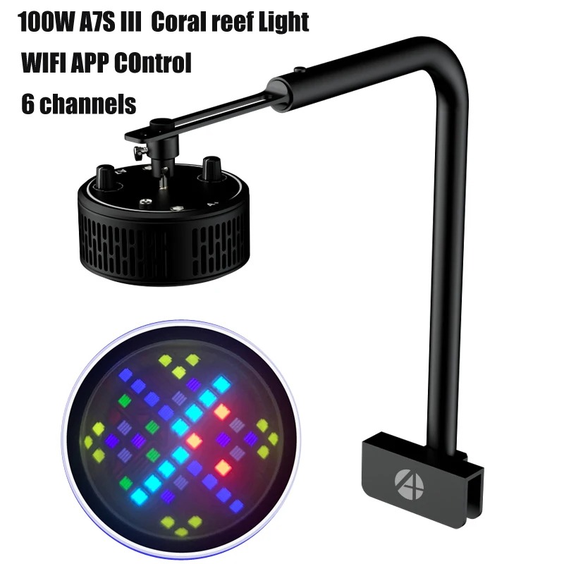 Reef Lighting - A7S III WiFi Application Controls Full