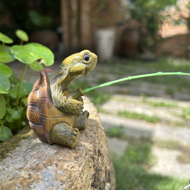 Turtle Fishing Fish Tank Aquar - Marine Fish Tank 评论和价格