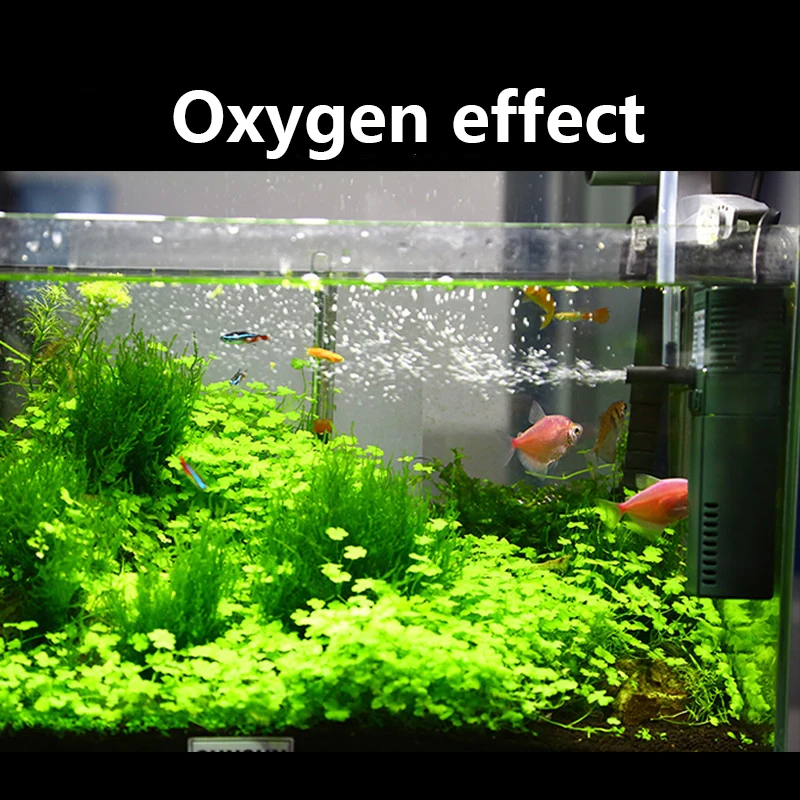SUNSUN Mini Nano 111B 311B 611 - Reef Tank Filter 评论和价格